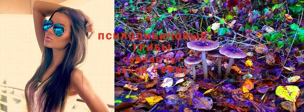 мефедрон Богданович